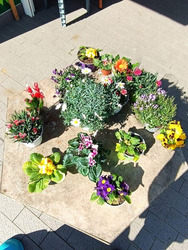 Fiori