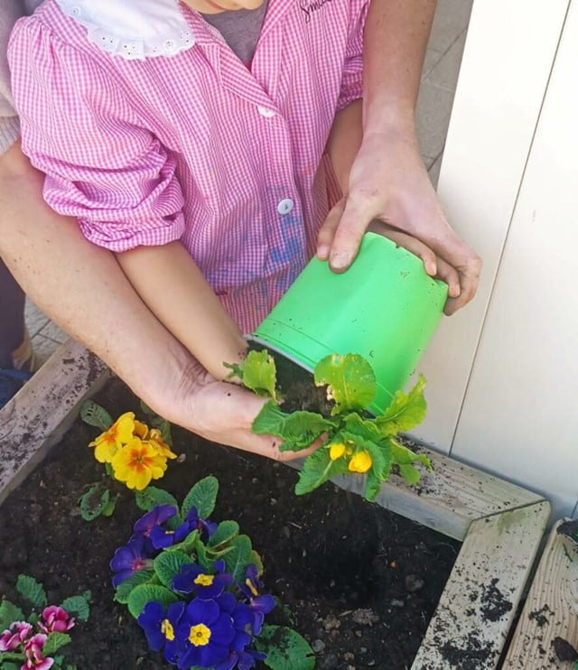 Fiori