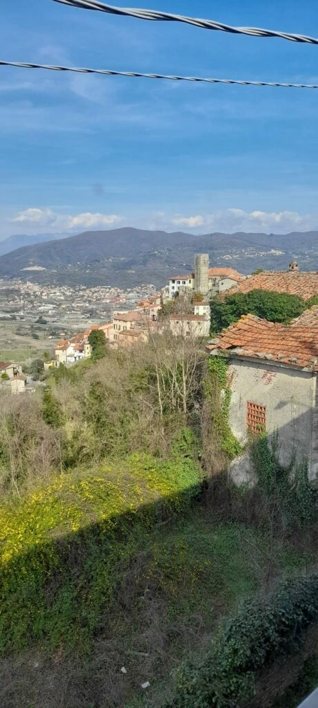 Panorama